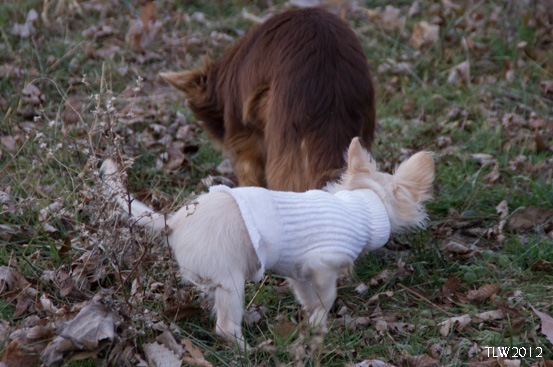 And more sniffing!