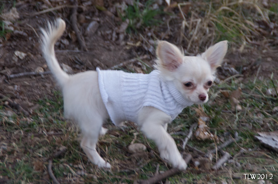 Ok, the focus isn't the best, but isn't she CUTE?