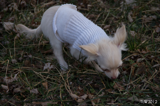 Don't you just love her new sweater? 