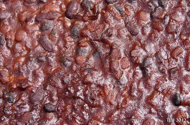 An abstract view of the beans after 4.5 hours.