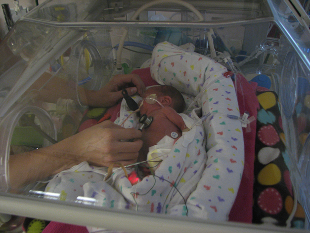 The nurse checking her vital signs.