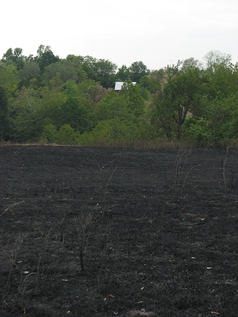 Looking west across the burn toward our house/barn.