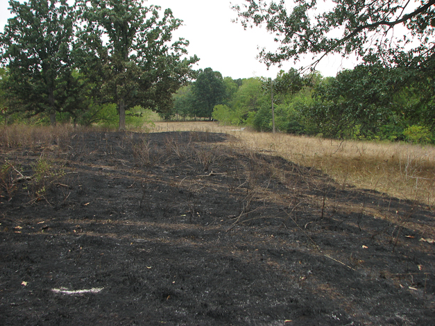 Here's where we finally managed to stop the fire. 
