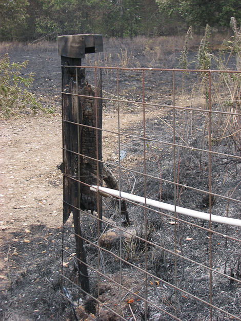 This was a railroad tie post. We have quite a few posts to replace!