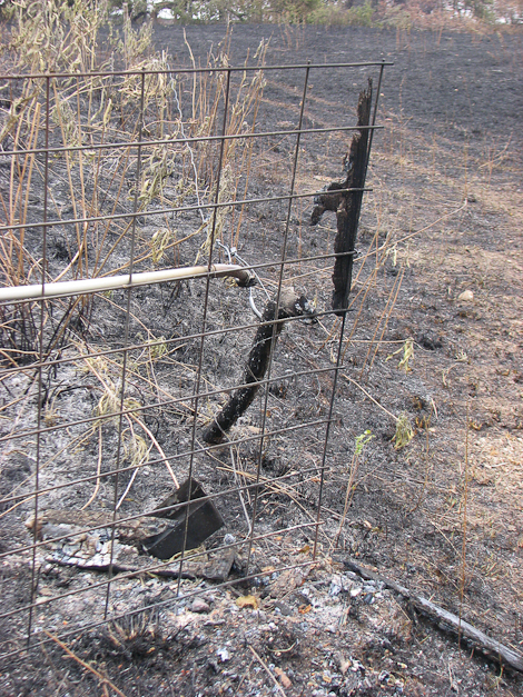 This railroad tie post is almost totally gone!