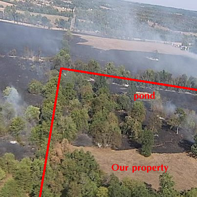 Here's an aerial shot of the NE corner of our property. Most of the earlier shots I took from the ground are within this area. 