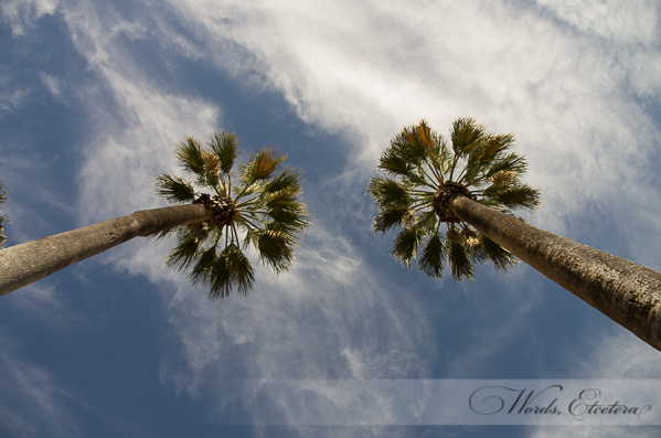 Double tree